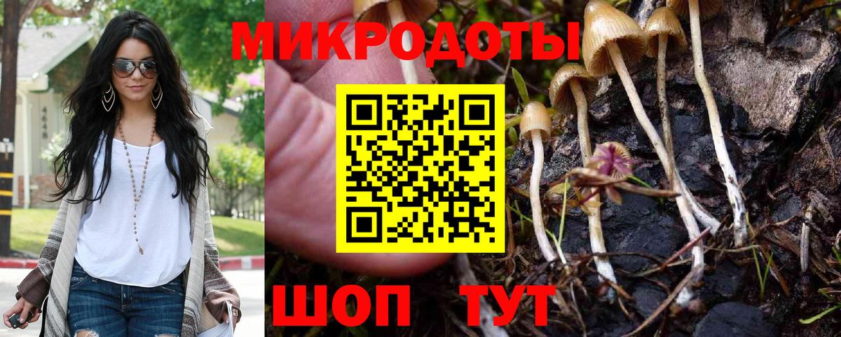 Курчалой  Псилоцибиновые грибы Cubensis  Вход с VPN 