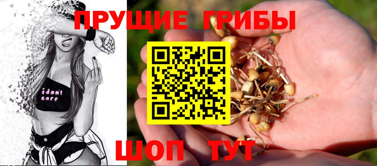 Галлюциногенные грибы Cubensis Курчалой
